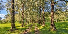 AMAZING LOT IN HEREDIA