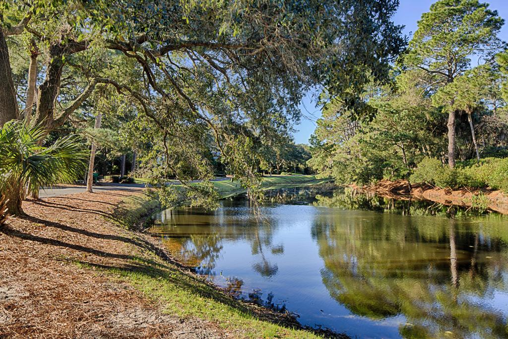 INCREDIBLE OCEANFRONT VIEWS IN SEA PINES South Carolina Luxury Homes