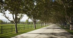 RIVER EDGE FARM