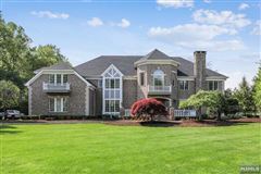 STUNNING AND GRANDIOSE CENTER HALL COLONIAL