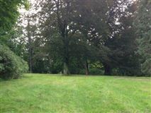BEAUTIFUL VIRGIN LAND FOR DREAM HOME IN NEW CANAAN