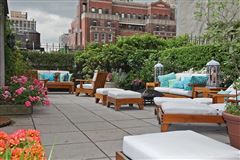 TERRACE LOVERS DREAM