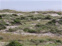 BEAUTIFUL SITE FOR AN OCEANFRONT HOME