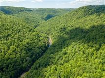 HUNTERS AND PREPPERS DREAM PROPERTY
