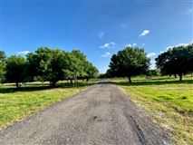 Lot/Land