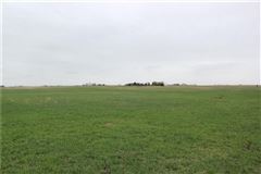 137 ACRES IN SUPER LOCATION