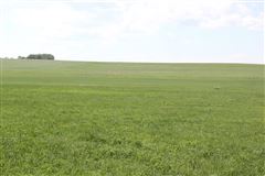 120.67 ACRES OF FARMLAND!