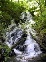 WINTERMONT - 248 ACRE MOUNTAIN PROPERTY