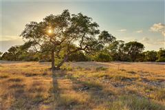 LIBERTY RANCH