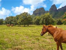 19.838-ACRE RANCH PROPERTY