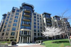 LUXURY CONDO IN THE HEART OF CHEVY CHASE