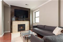 Luxury homes 住在底特律市中心的豪华公寓