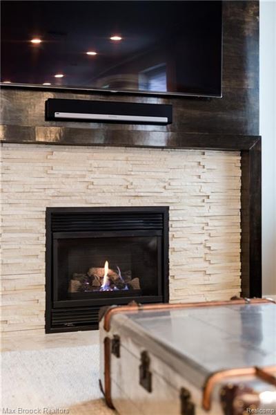 Mansions 住在底特律市中心的豪华公寓