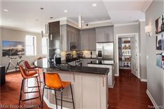 Luxury properties 住在底特律市中心的豪华公寓