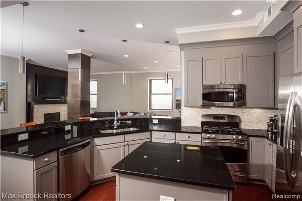 Mansions in 住在底特律市中心的豪华公寓