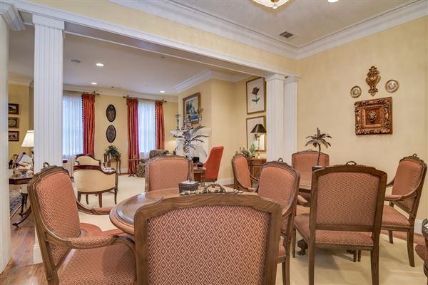 Luxury homes 高端联排别墅