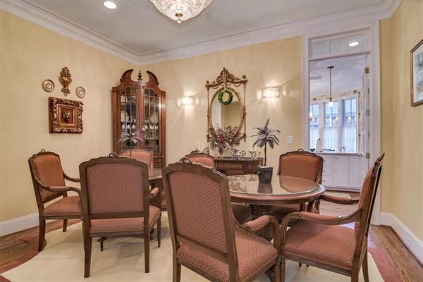 高端联排别墅 luxury homes