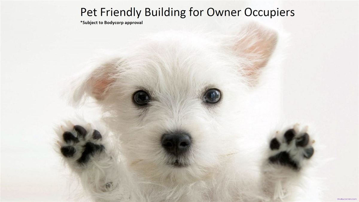 全新的市中心地下顶层公寓 luxury homes