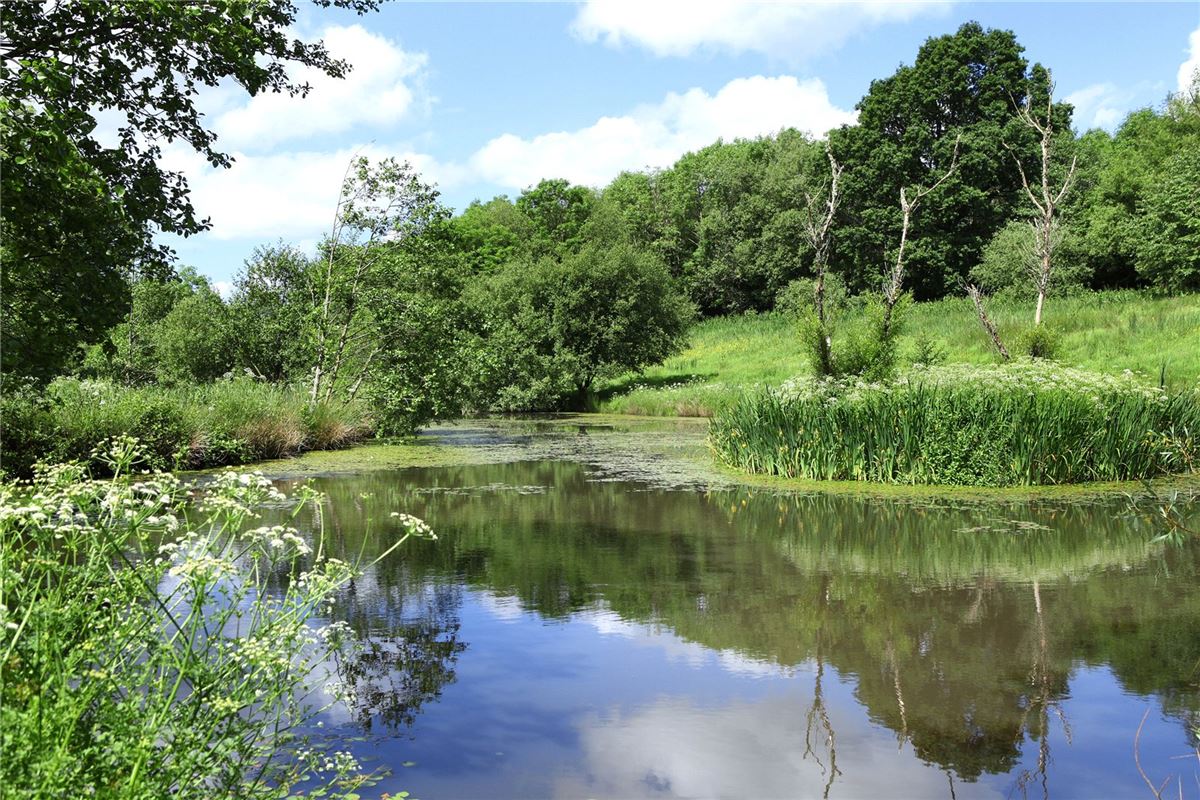 戈兰农场 luxury real estate