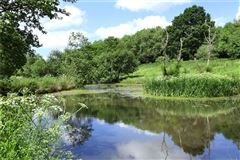 戈兰农场 luxury real estate