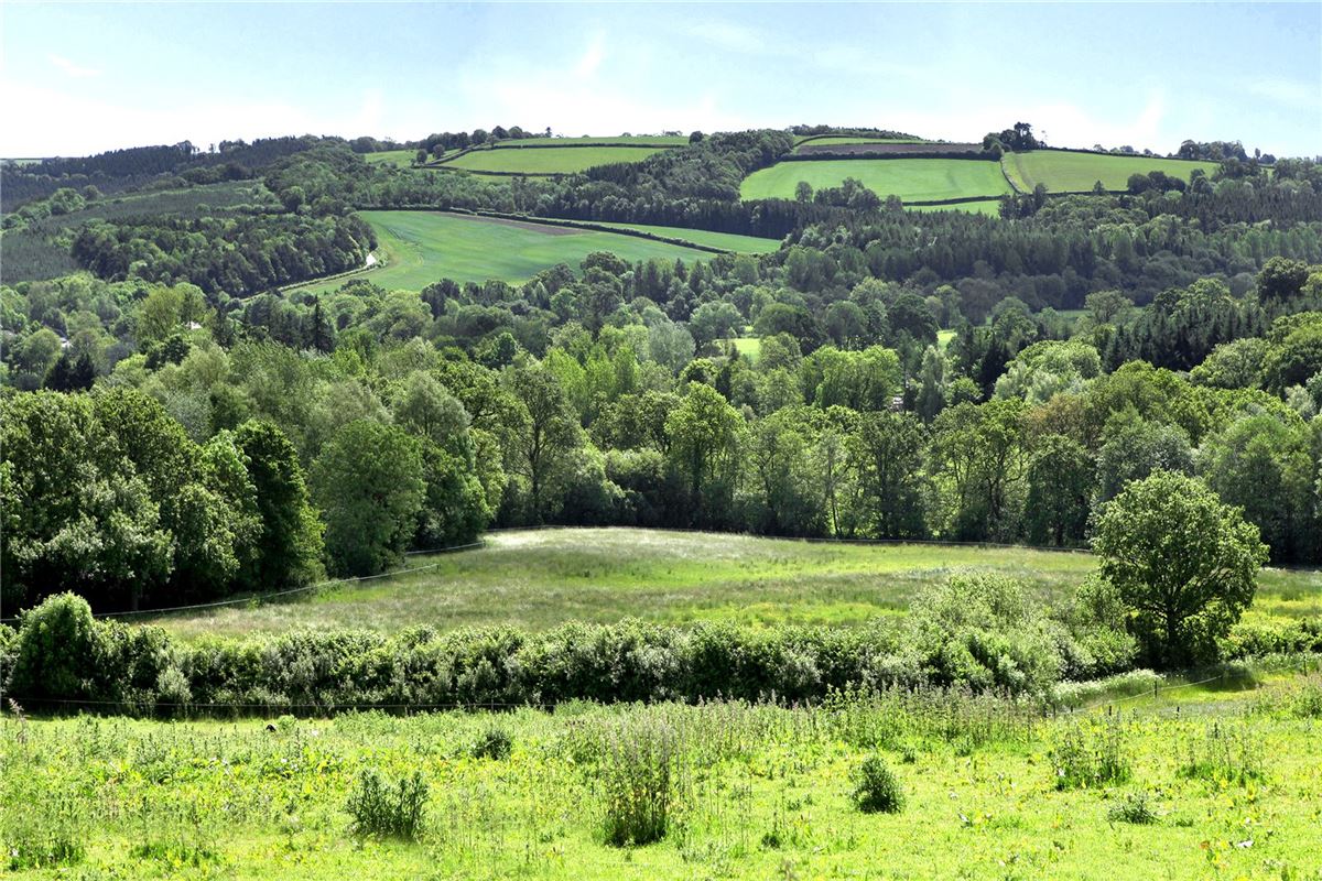 Luxury properties 戈兰农场