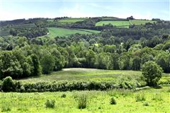 Luxury properties 戈兰农场