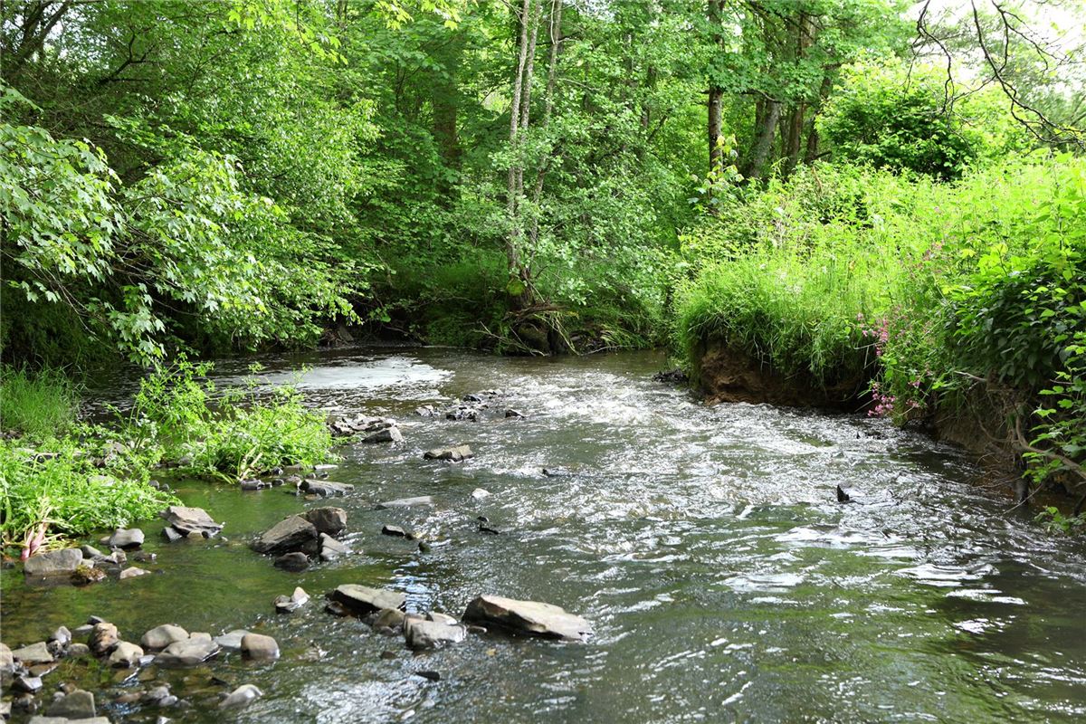 戈兰农场 luxury properties