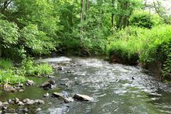 戈兰农场 luxury properties