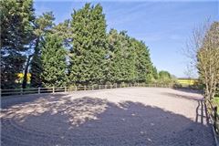 Luxury homes 费尔福德