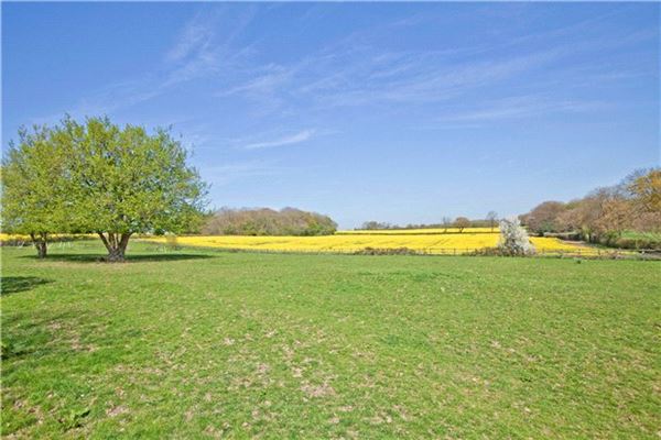 Luxury homes for sale