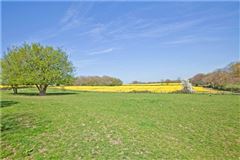 费尔福德 luxury real estate