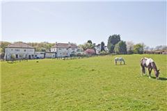 Luxury properties 费尔福德