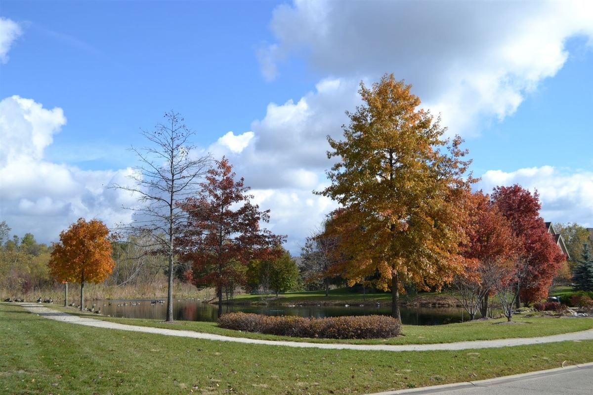 Luxury homes 家賃のきれいな風習の家