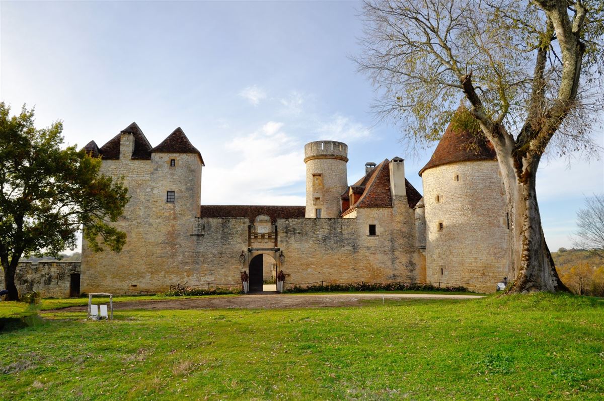 LARGE 14TH CENTURY CASTLE | France Luxury Homes | Mansions For Sale ...