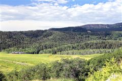 Luxury homes for sale