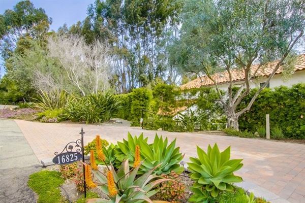 Luxury homes for sale