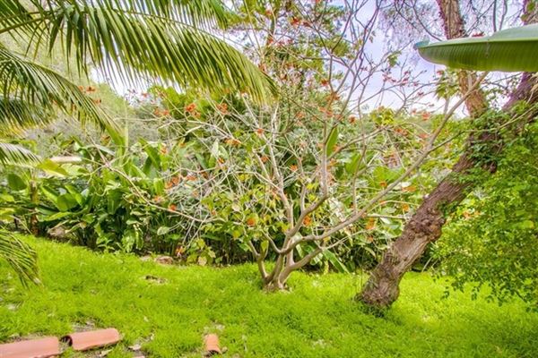 チャーミングホーム luxury homes