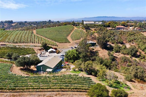 THE FALLBROOK WINERY | California Luxury Homes | Mansions For Sale ...