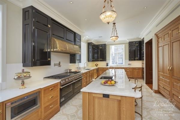 Luxury real estate  无懈可击的豪宅