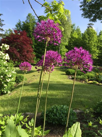 莱茵贝克租赁 — 杜奇斯县 luxury homes