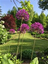 Mansions 莱茵贝克租赁 — 杜奇斯县