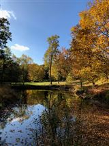 Mansions in 莱茵贝克租赁 — 杜奇斯县