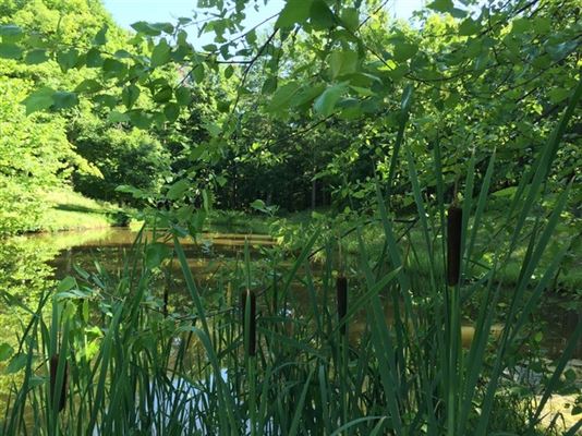 莱茵贝克租赁 — 杜奇斯县 luxury properties