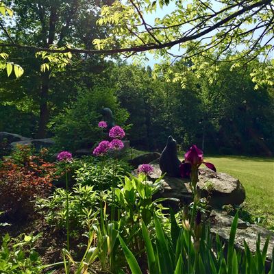 Mansions 莱茵贝克租赁 — 杜奇斯县