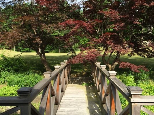 Luxury homes in 莱茵贝克租赁 — 杜奇斯县