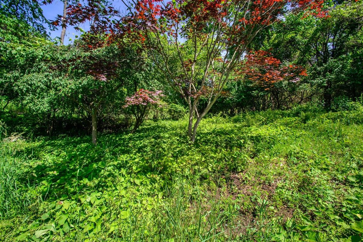 HILLSIDE SETTING IN THE VILLAGE OF BARTON HILLS Michigan Luxury Homes