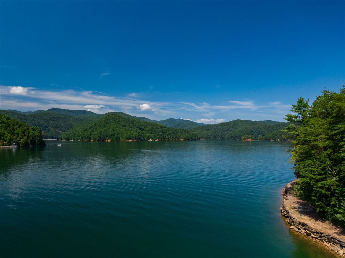 EXCLUSIVE LAKE JOCASSEE HOME South Carolina Luxury Homes Mansions