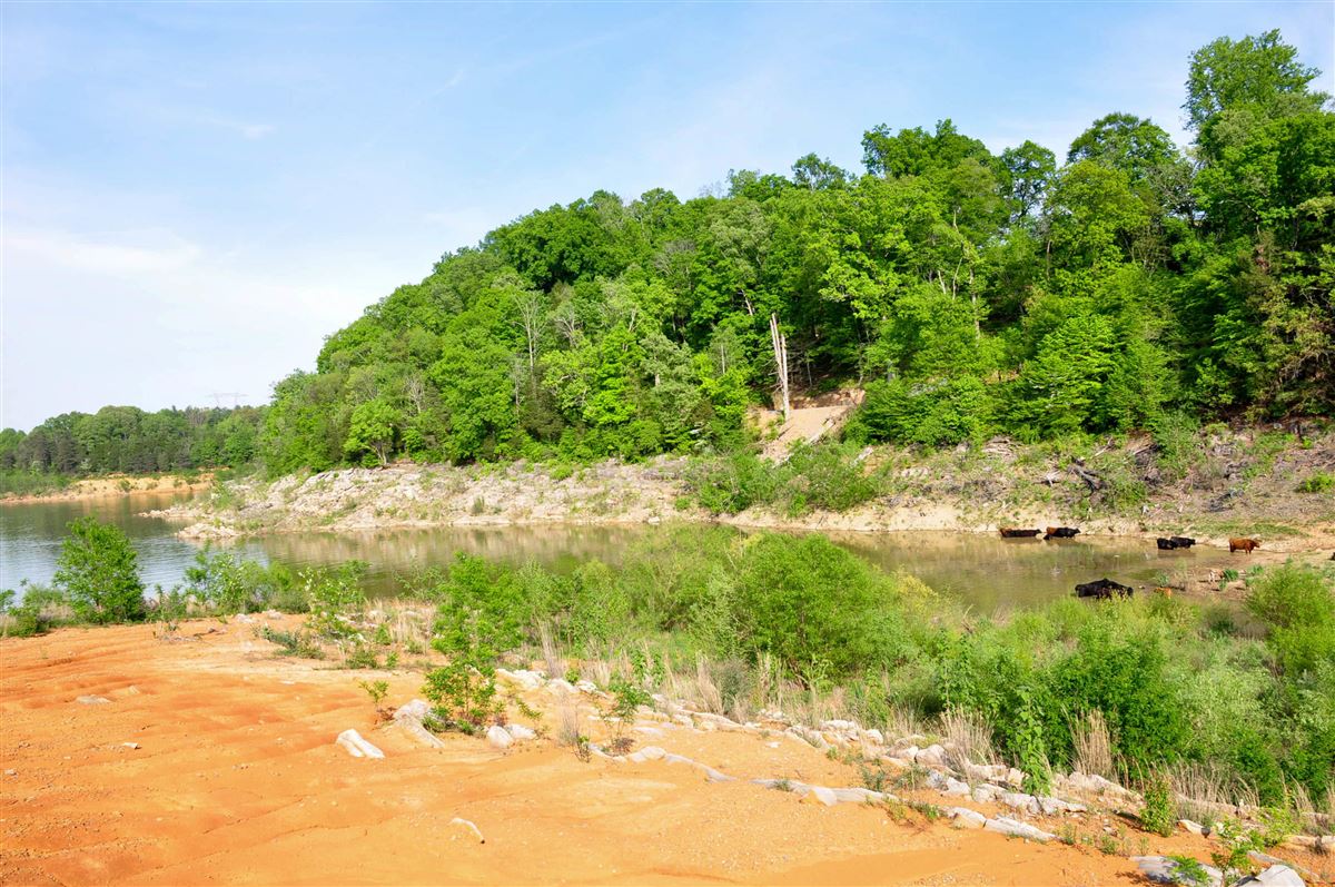 100 ACRE PROPERTY WITH BOONE LAKE FRONTAGE Tennessee Luxury Homes