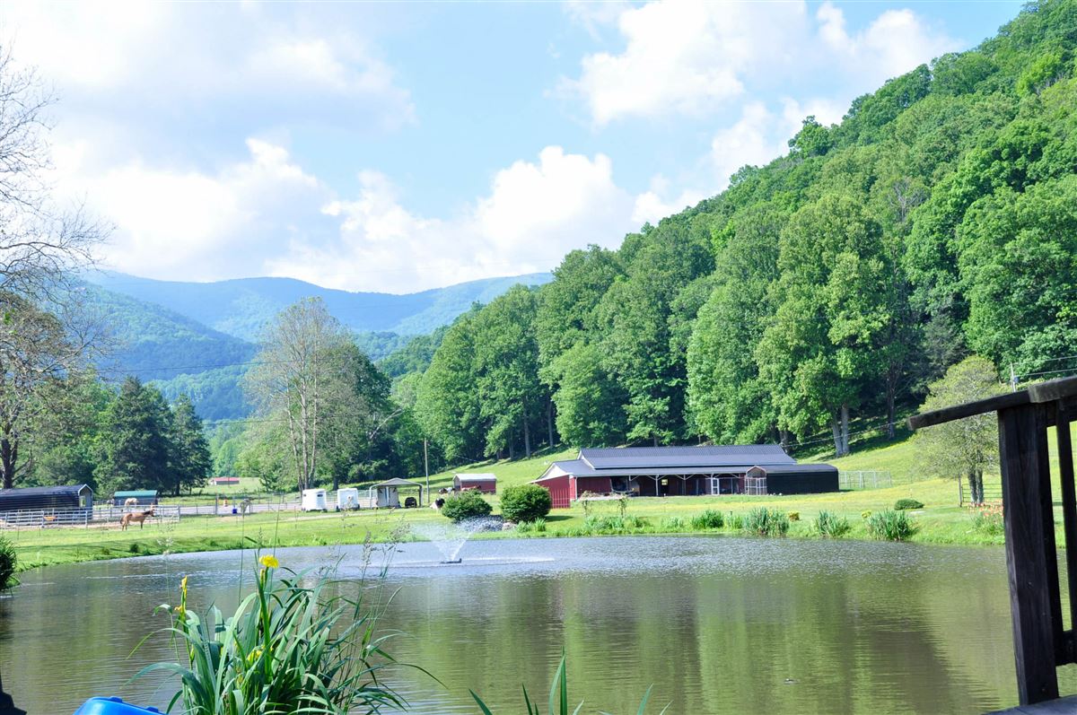 ROAN MOUNTAIN FARM Tennessee Luxury Homes Mansions For Sale Luxury Portfolio