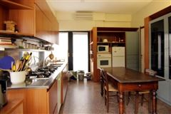 Luxury homes 绿荫环绕的漂亮公寓